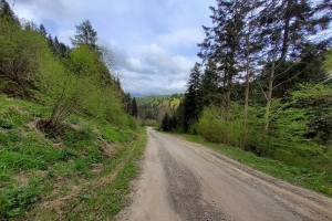 Bieszczady - droga do cerkwi w Łopience