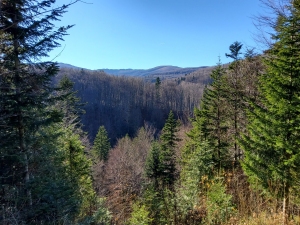 Bieszczady